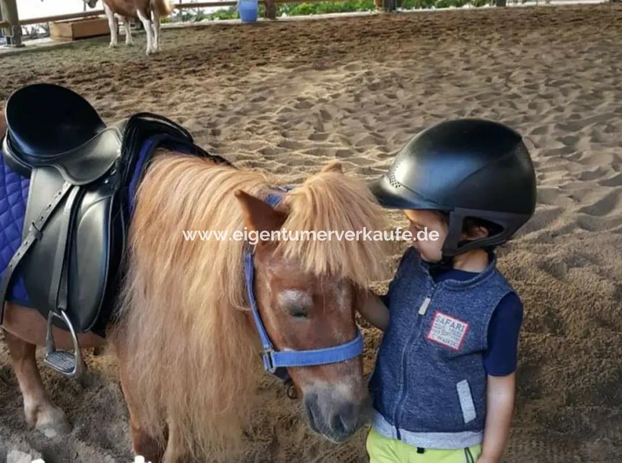 Traumhafte 5,5+1 Maisonette- Wohnung Mit Luxusausstattung In Gölbaşı / Ankara /Türkei