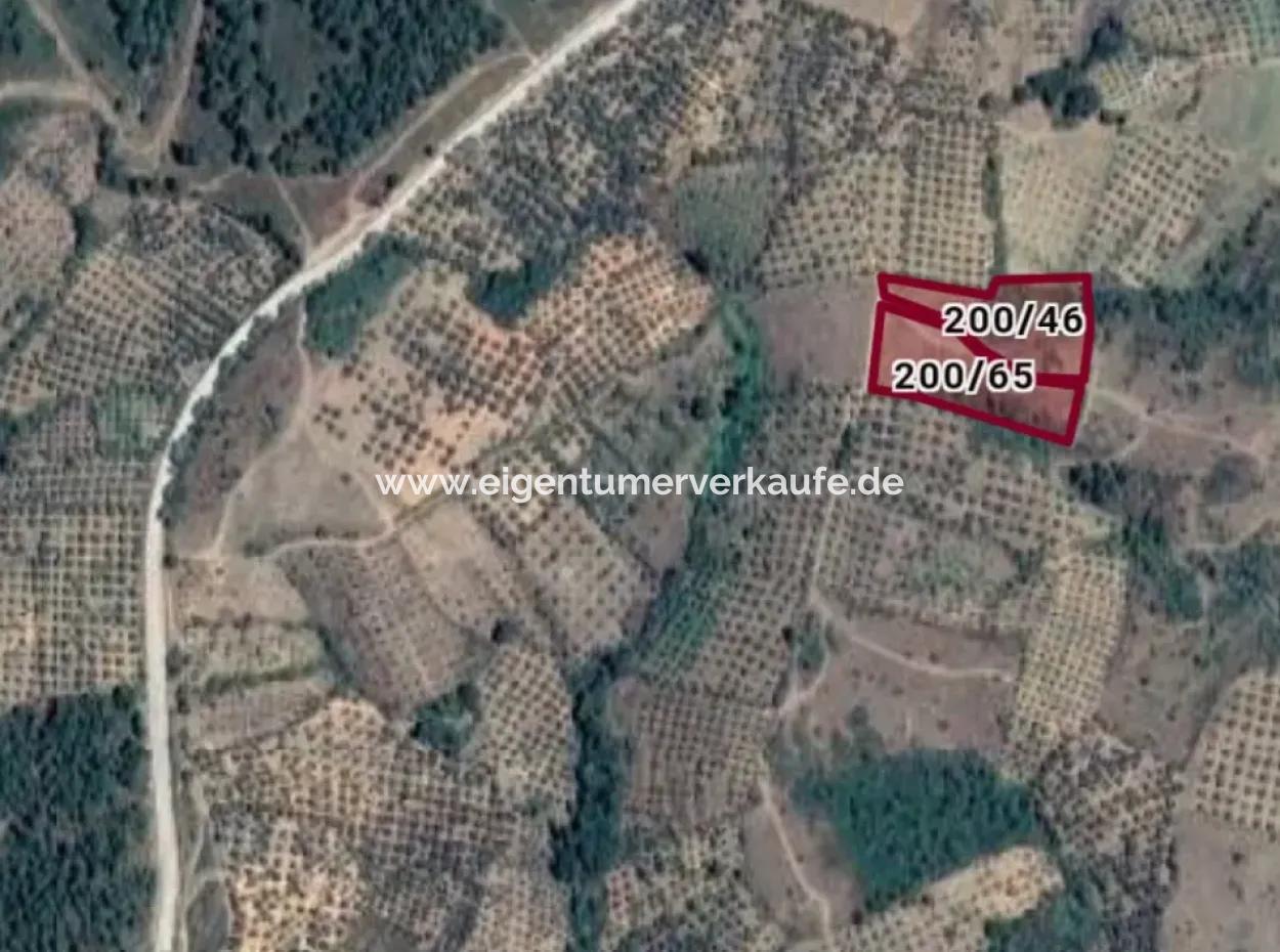 Kaz Mountains 9068 M2 Field Ecotourism Area