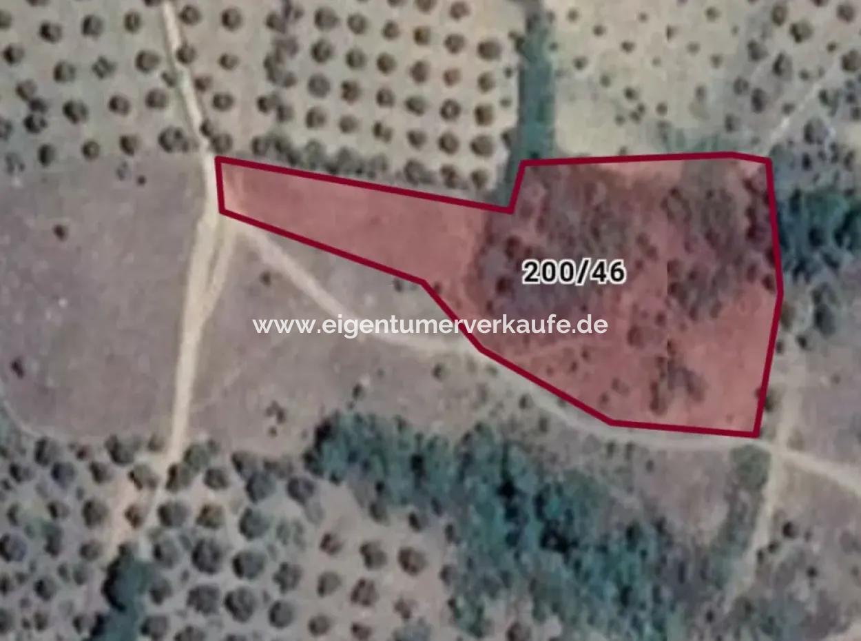 Kaz Mountains 9068 M2 Field Ecotourism Area