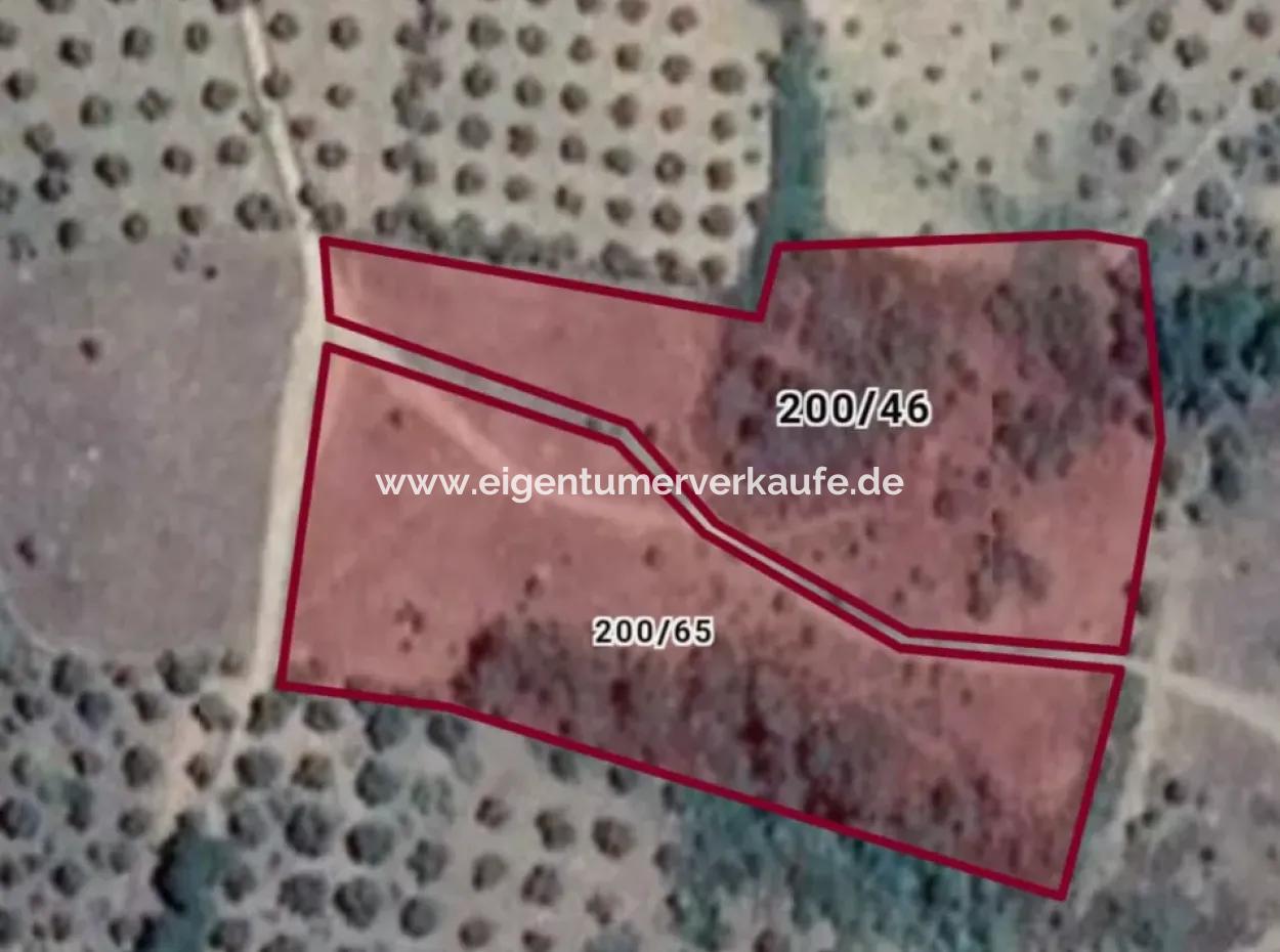 Kaz Dağları 9068 M2 Tarla Ekoturizm Alanı 