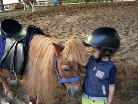 Boş İncek Loft Satılk 3+1 Şehir Manzaralı 10.Kat Daire